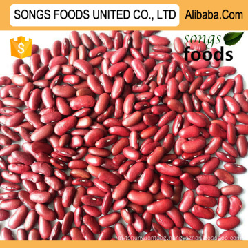 Export Egyptian Dark Red Kideny Beans